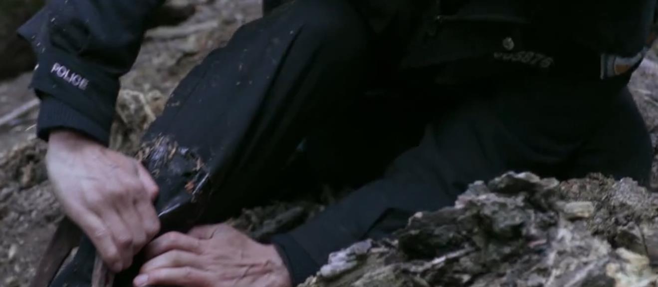 秦昊|首播拿下卫视台的收视第一，秦昊领衔的新剧，凭什么又要火了？