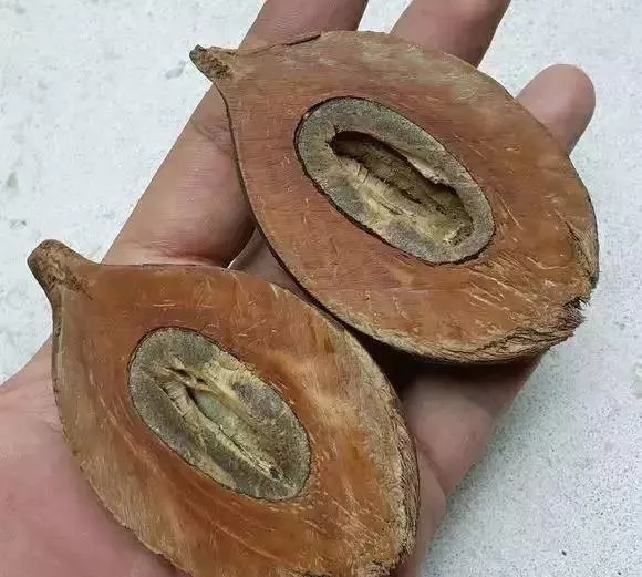 库克手串|这玩意儿，没想到还挺好玩