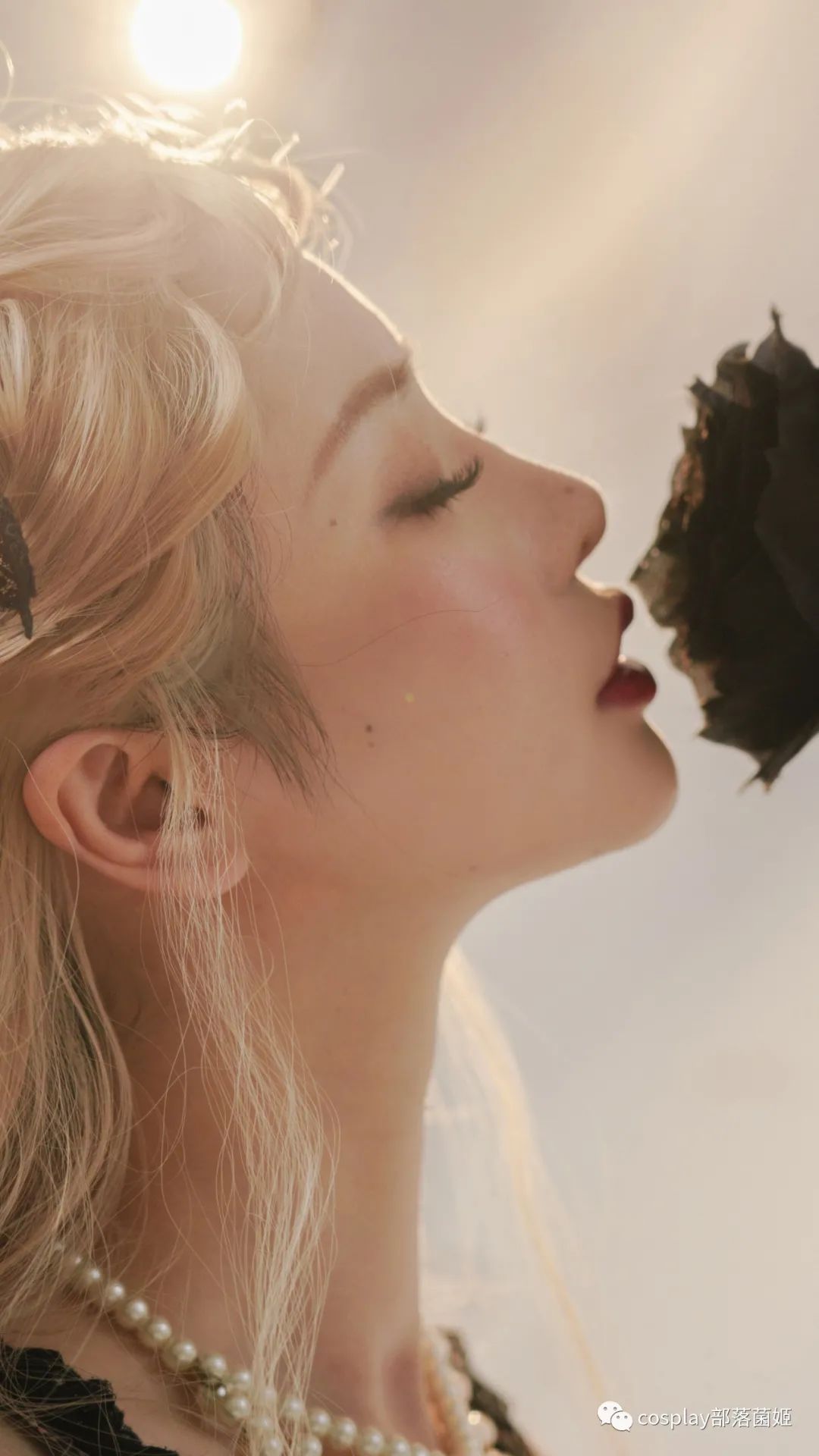 玫瑰|Lolita:亲吻这支玫瑰,亲吻这束光