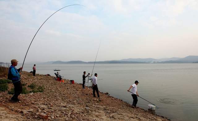 |钓鱼旺季！用嫩玉米挂钩，再配合带漂远投的手法，助你成就大鱼梦