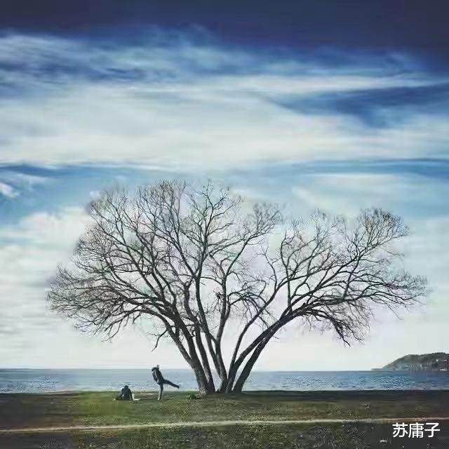 苏庸子|父母走后,不跟兄弟姐妹来往的人,往往因为这3个原因