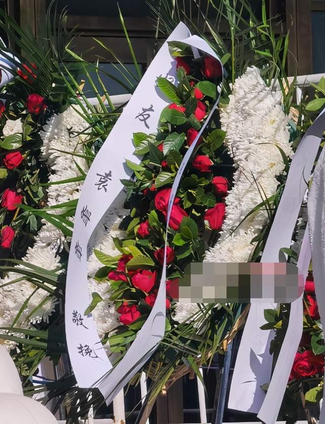 赵英俊|赵英俊治病两年未婚妻不离不弃，他离世时女方紧紧抱着遗体不放