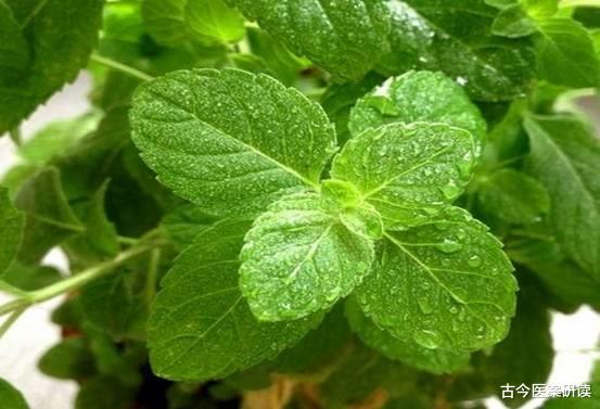 面条|?胃不好的人不能吃面条？消化科医生：若想养成“金刚胃”，3种素食应少吃