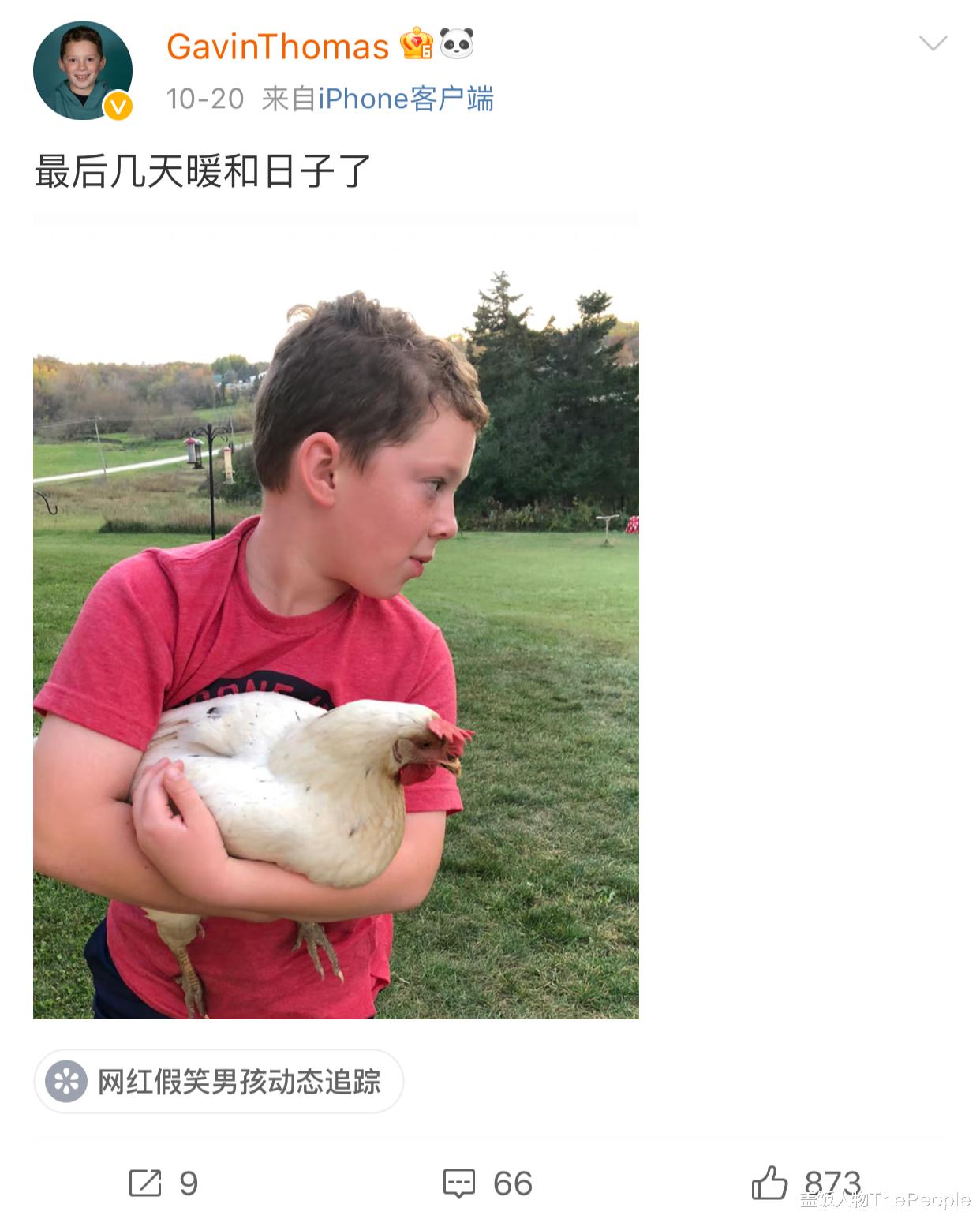 长安十二时辰|退圈读书、捞快钱、疑似“秃顶”，“表情包”萌娃现状大不同