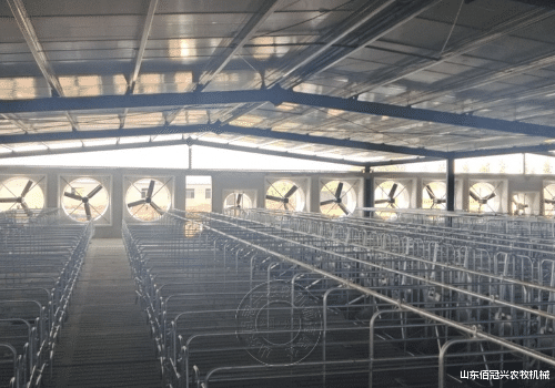 猪场针对屋顶的设计要注意哪些不同？