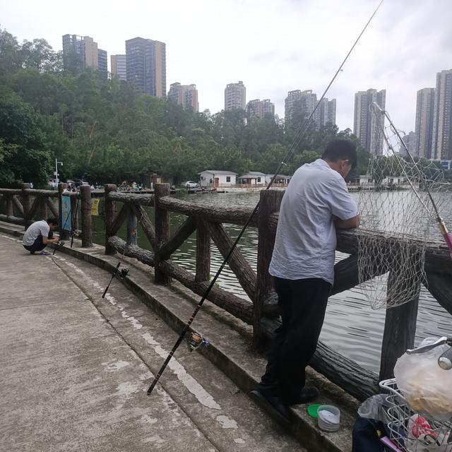 马孔|深圳终于找到一个免费钓鱼的水库了，今晚的伙食有着落了