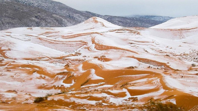 地球进入“清洗”模式?南极出现红雪现象,28种病毒恐被释放