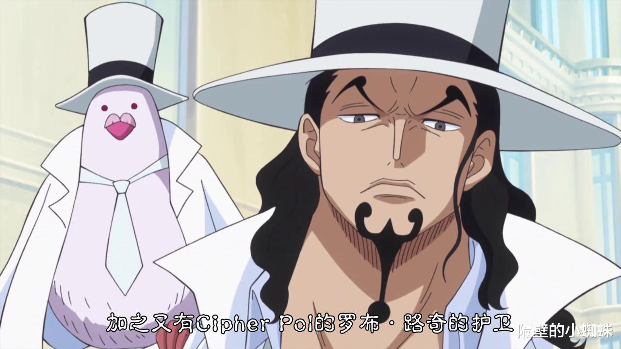 浣熊|抵达和之国的路奇，根本不配成为路飞的同级对手，纯粹来打酱油的