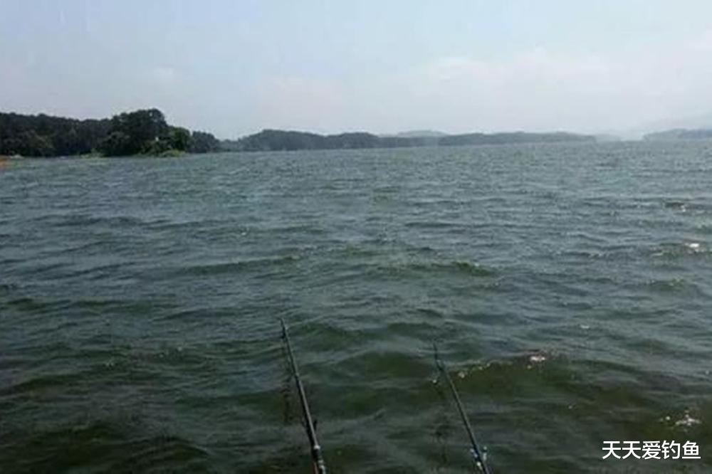 |秋天钓鱼，有北风起钓鱼忙的说法，秋天哪种风向鱼最好钓？