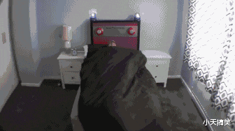 范冰冰|神回复：绑架王思聪和抢银行哪个风险大？神评真绝了，要笑死