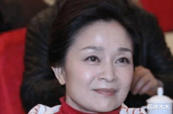 刘莉莉|《小敏家》刘莉莉：31岁登上荧屏，大龄相亲嫁去美国，越老越美丽