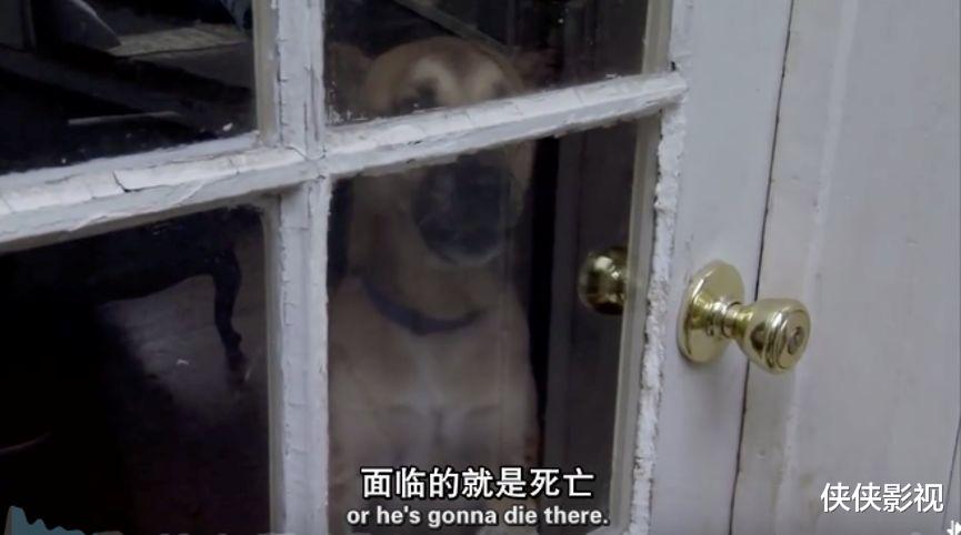 混凝土 假如75亿人瞬间消失，世界将会变成什么样？看完这篇文章你就知道了