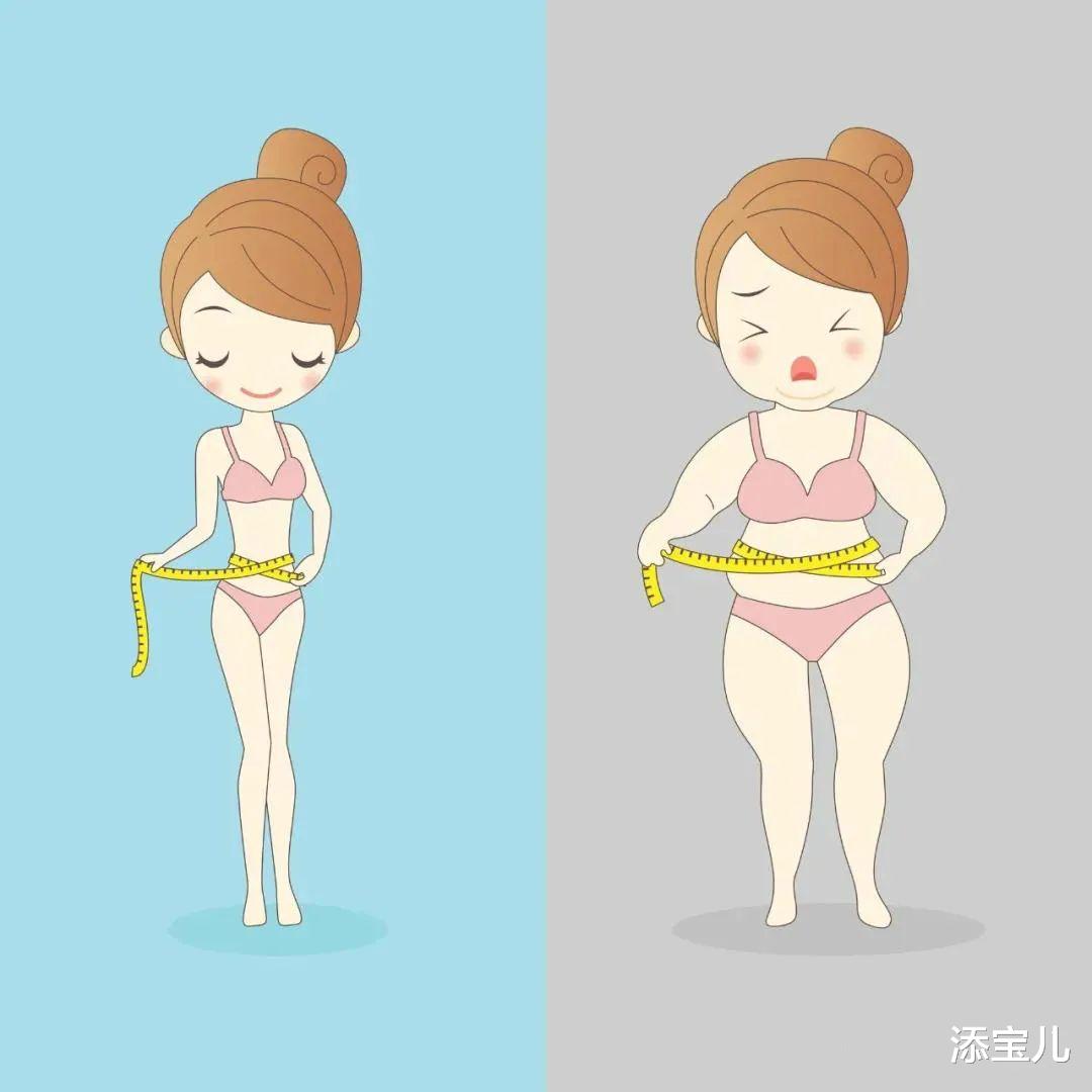 添宝儿|卵泡该怎么努力，才能达到成功受孕的目标？