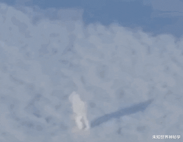  乘客在万米高空目击气态人？