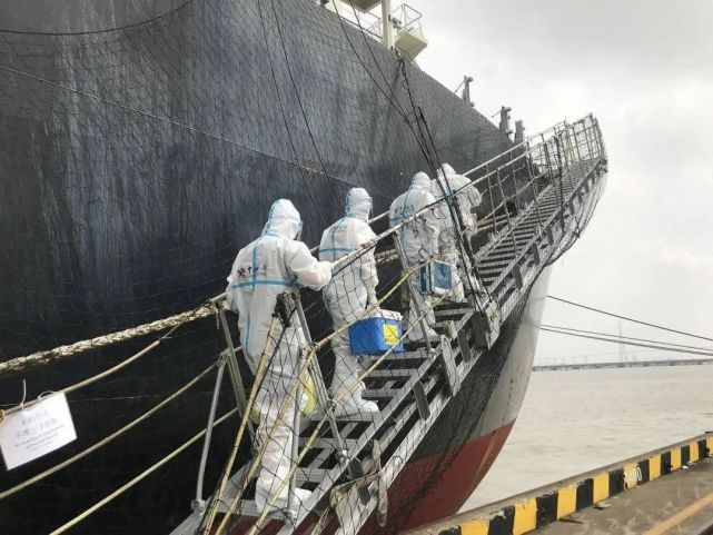 徐晓峰|一枝黄花惊现武汉,从几株蔓延至10多亩:市民:此花开处百花杀