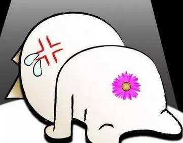 球探铭老师|为啥肛肠医生很少得庤疮？专业人士的痔疮膏果然不一样！