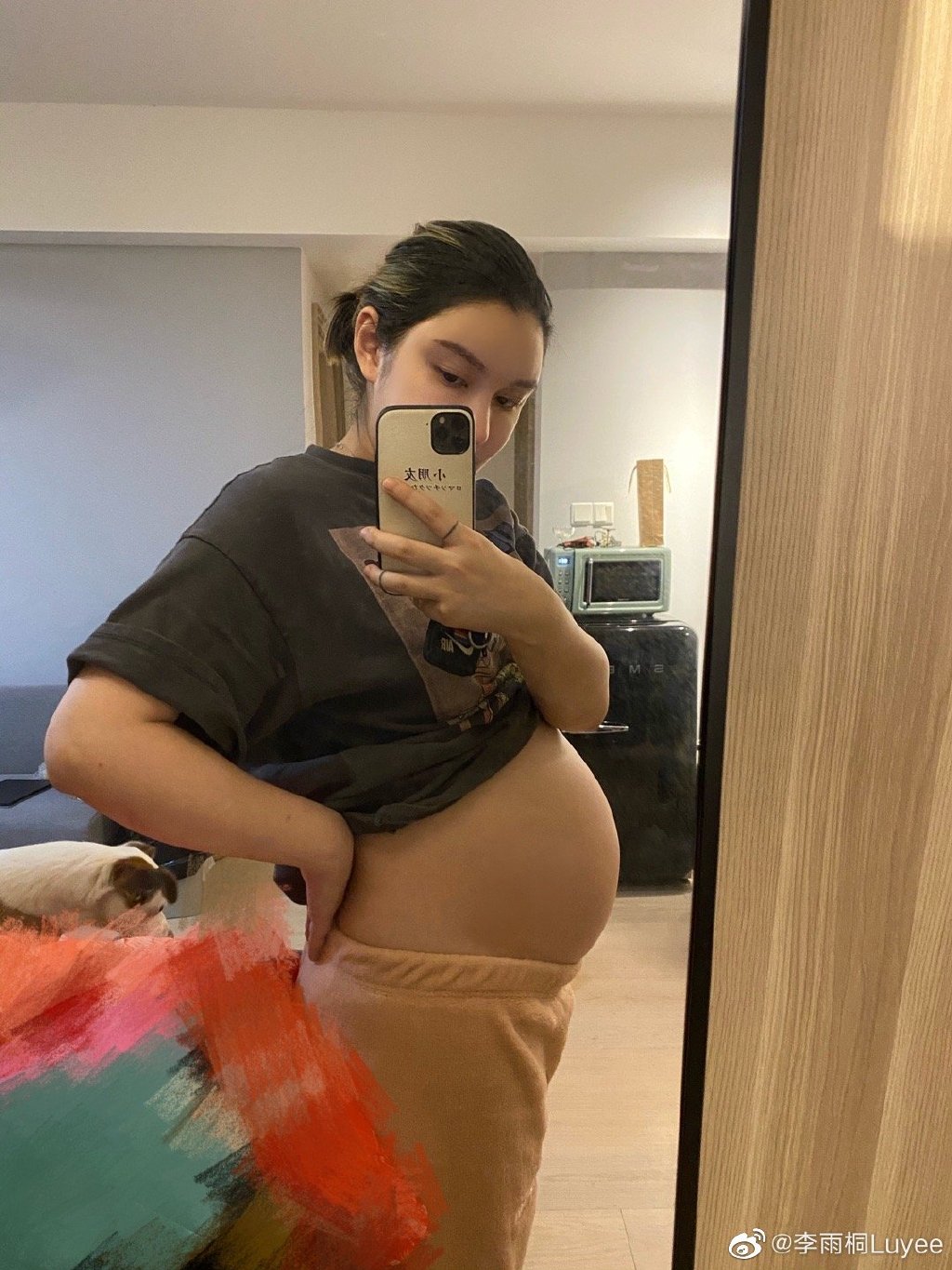 徐静蕾|“京圈才女”徐静蕾人设崩塌:所谓独立女性,不过是精致利己