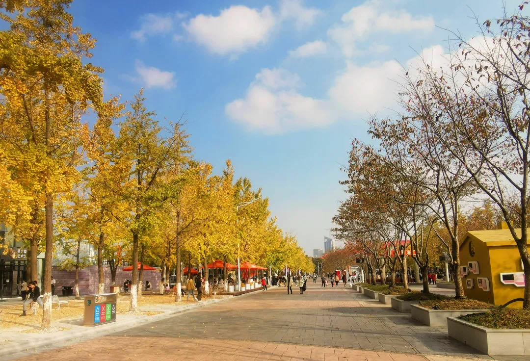 一马平天下 假如河西地标有朋友圈…