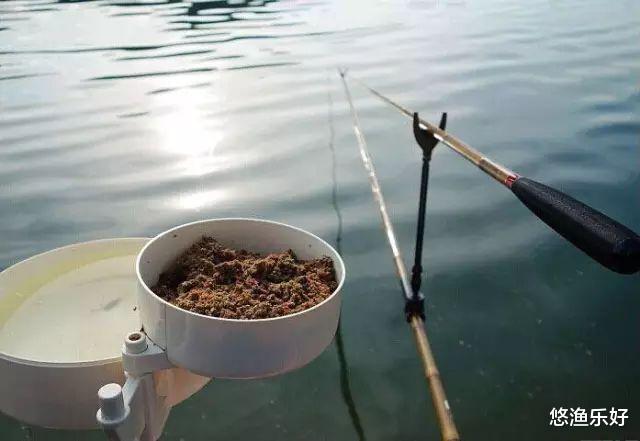 江苏省|五个小妙招，助你打破钓鱼没口僵局