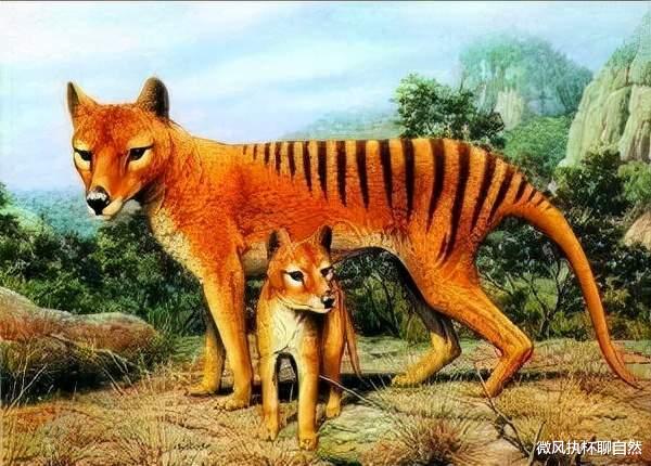 科学家 近现代灭绝于西方文明中的动物超过300种，盘点其中最著名的11种