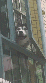 大学生|“让你们见识一下1600的洗浴和600的区别！”哈哈哈我终于知道男人为什么都喜欢贵的