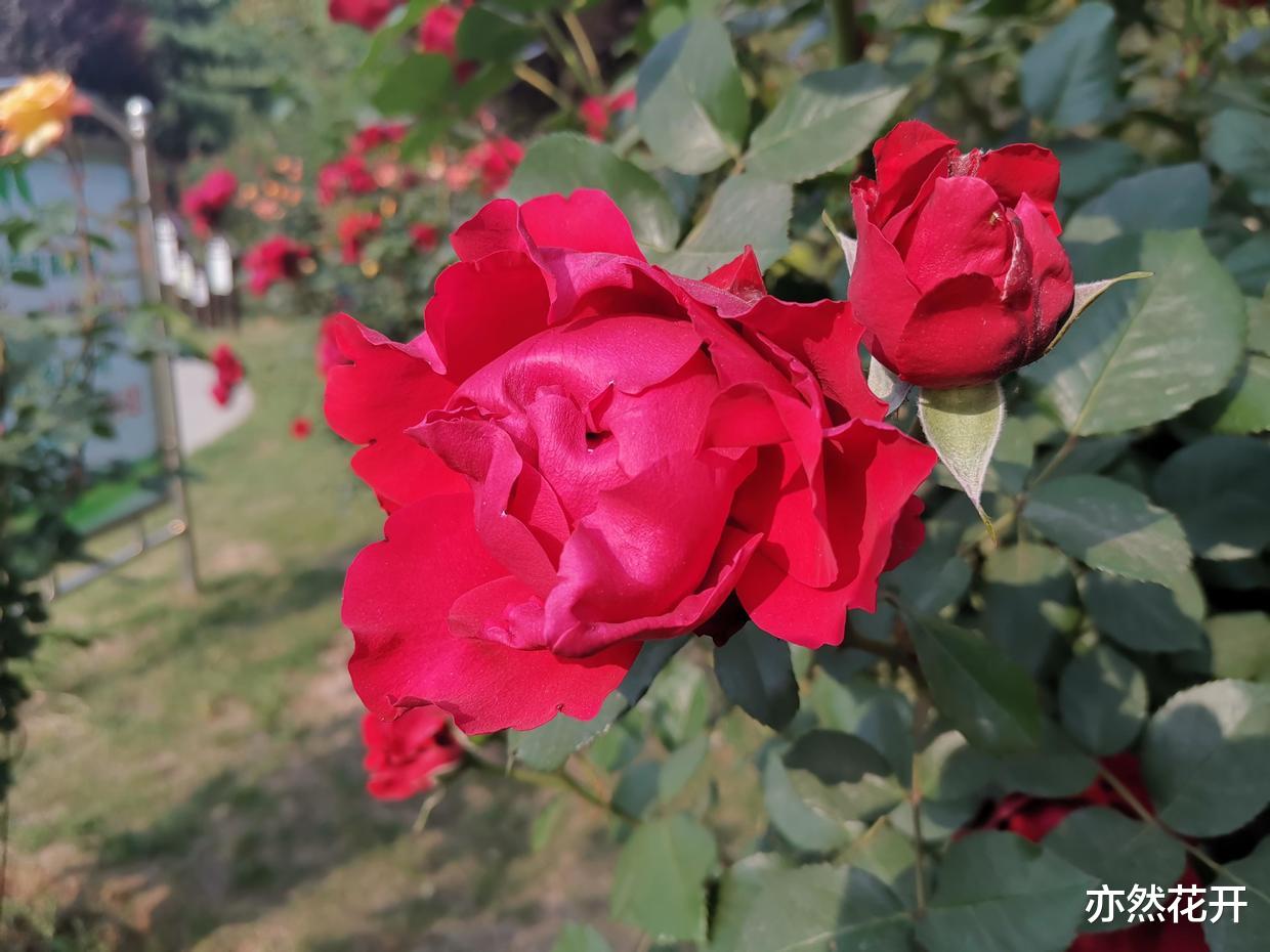 |学习一本书的结构,清晰有效地传递信息