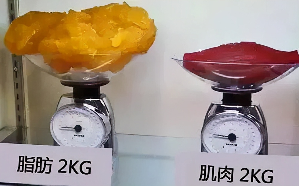 包子 2021年减肥失败报告，请查收