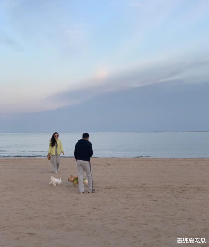 张慧雯|网友海边偶遇杜江一家？霍思燕身材明显发福，与杜江形成鲜明对比