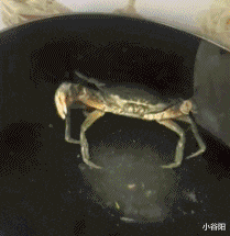 小谷阳|“新娘为结婚当天，保持好身材，跟男教练通宵训练被退婚！”哈哈哈