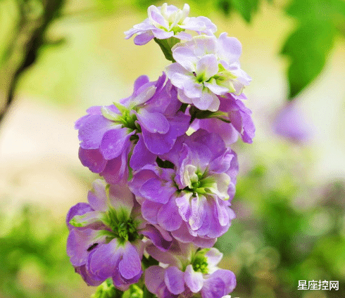 |哪些日子出生之人,遇到人生困境,磨练出惊人毅力,勇往直前