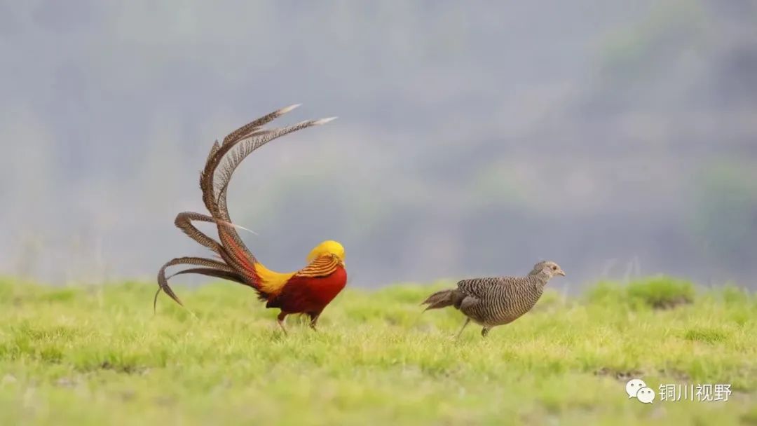 铜川周春辉 五一假期，我们一起爬山，用镜头记录美丽的大自然