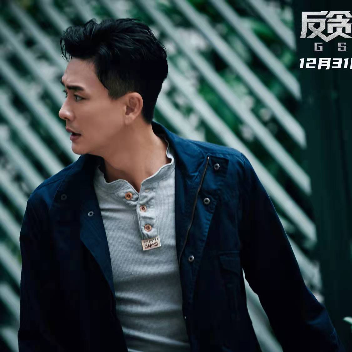 反贪风暴5|强推!《反贪风暴5》最终篇