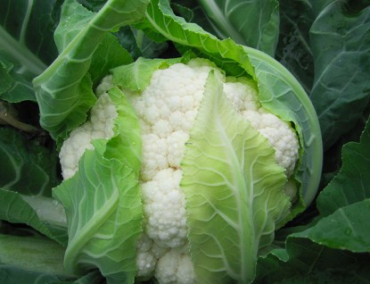 排毒|卫生组织呼吁停止食用“1调料”，吃一口等于六斤辣条，或是甲状腺癌的诱发剂