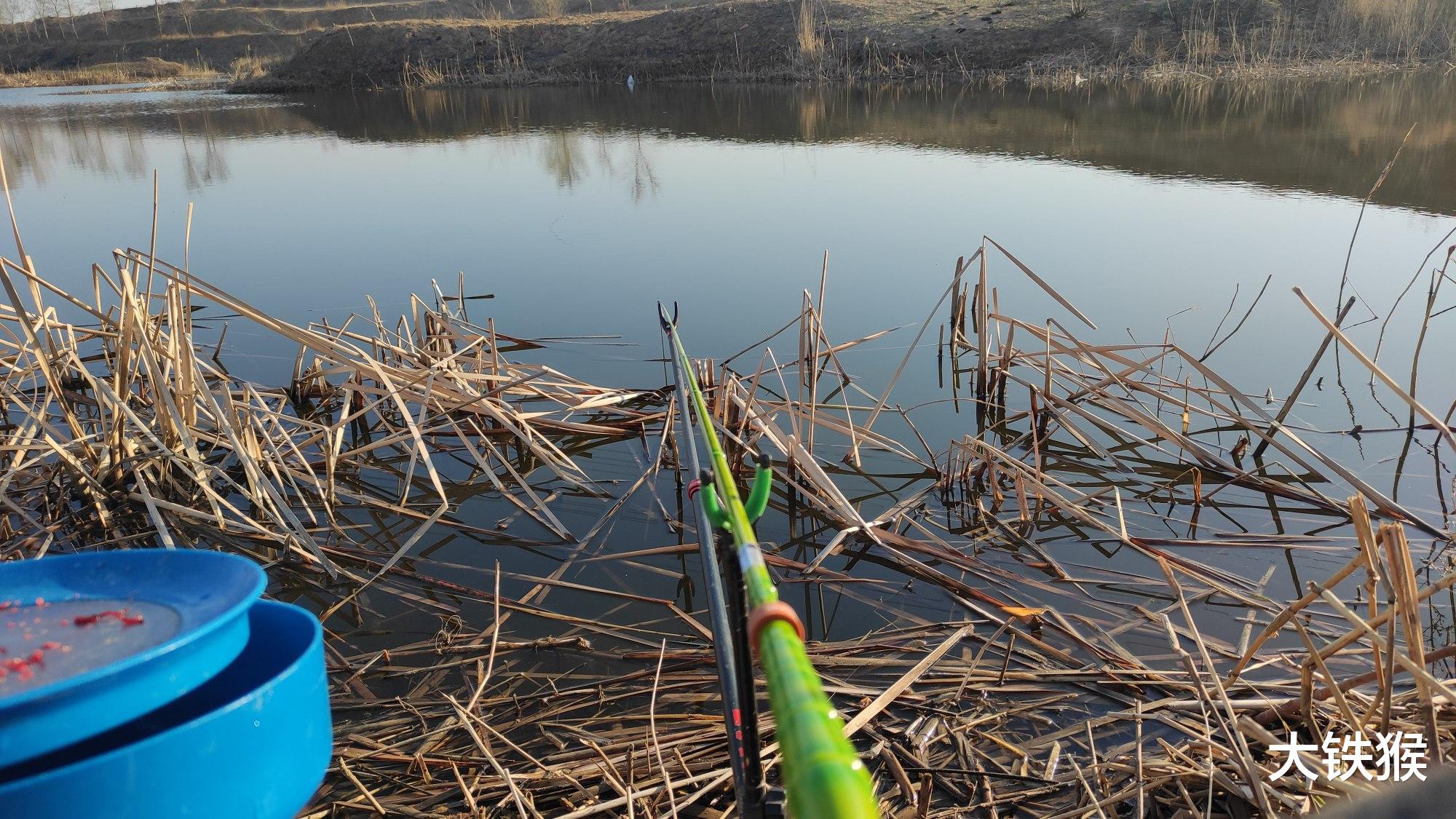 饵料|冬季鲫鱼晒太阳不咬钩,换饵,换漂皆无用,别瞎折腾了用这招吧