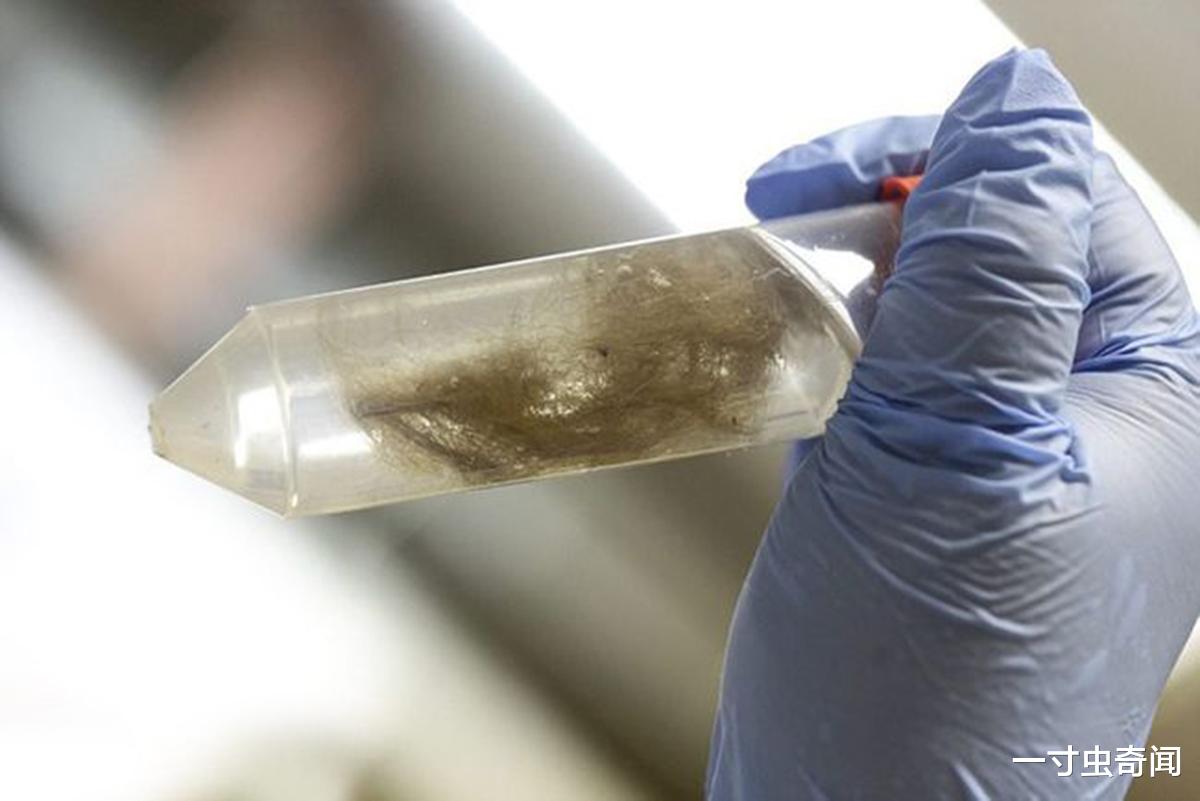 遗骸 潘多拉盒子？冻土融化，出现史前动物遗骸及病菌，或对人产生影响