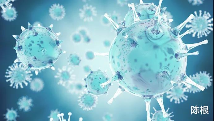 新冠病毒 陈根：新冠病毒，究竟如何感染细胞？