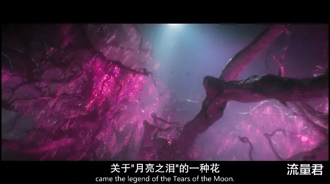 弗兰克|巨石强森新片！2亿美元的票房冠军