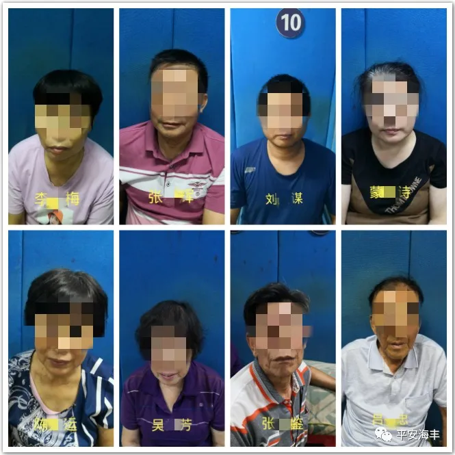 海丰 查获9人!海丰公安“零容忍”打击涉赌违法犯罪行为