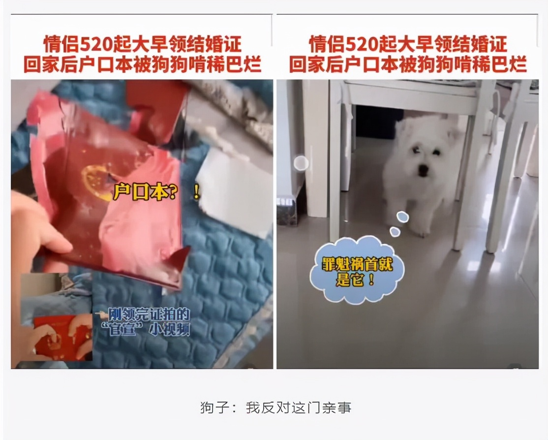 公租房|神回复：花果山白宫出售，总价120亿，便宜点我就买了