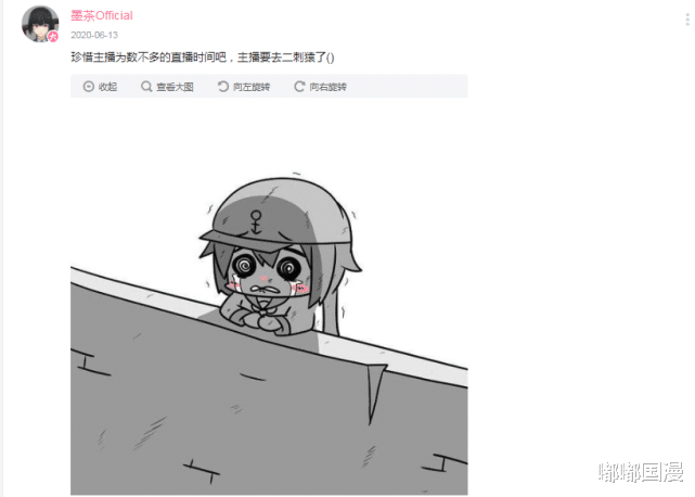嘟嘟国漫 那个至死不愿卖惨博关注的B站UP主墨茶，回到美好的二次元去了