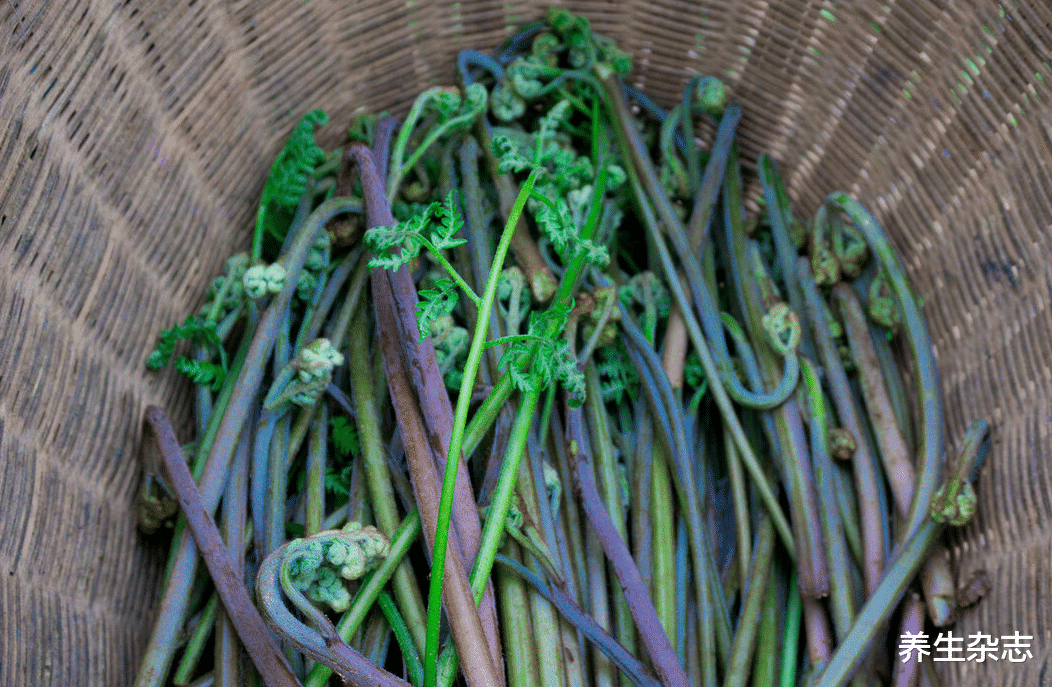 医生|41岁大姐身体乏力,半年后确诊肝癌,医生呵斥:1种蔬菜伤肝,白送也不要