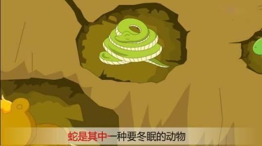 你知道蛇的弱点有哪些吗?