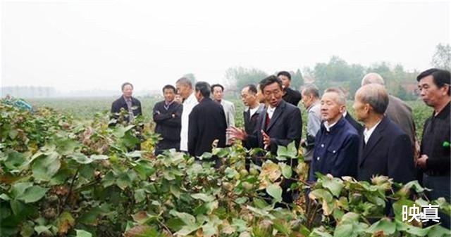 购房置业|他吃百家饭长大，逆袭成首富后，自掏8000万建400栋别墅送乡邻