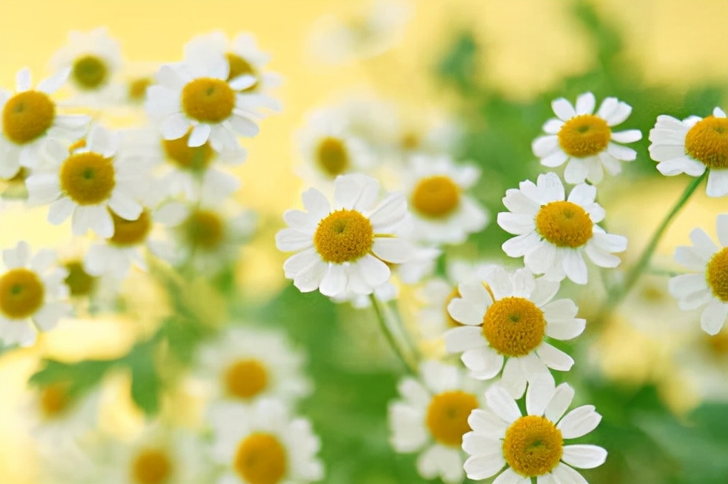 仲念念|做人有三忌,戒掉了,福气自然就来了