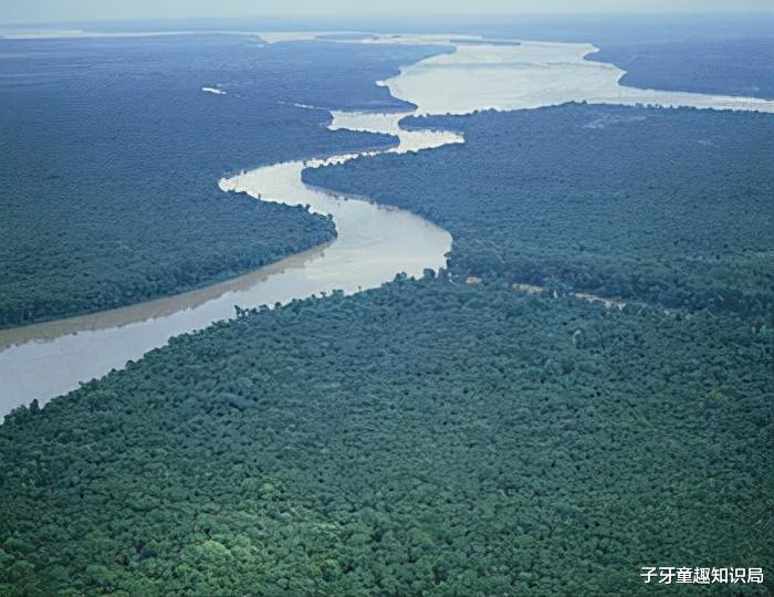 “人类禁区”亚马逊河，捕食者的天堂，亚马逊河究竟有多可怕？