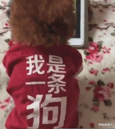 王昱珩|我朋友娶了俄罗斯美女，产前娜塔莎，产后娜大妈，网友的评论绝了