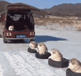  倒车没注意把消防栓撞了，水流了一个多小时，保险除了水费全包，大家知道水费要赔多少吗