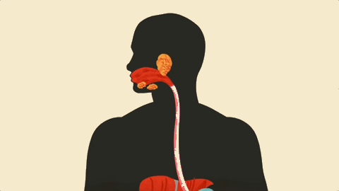 排便|你憋的粑粑,最后都被吸收了?