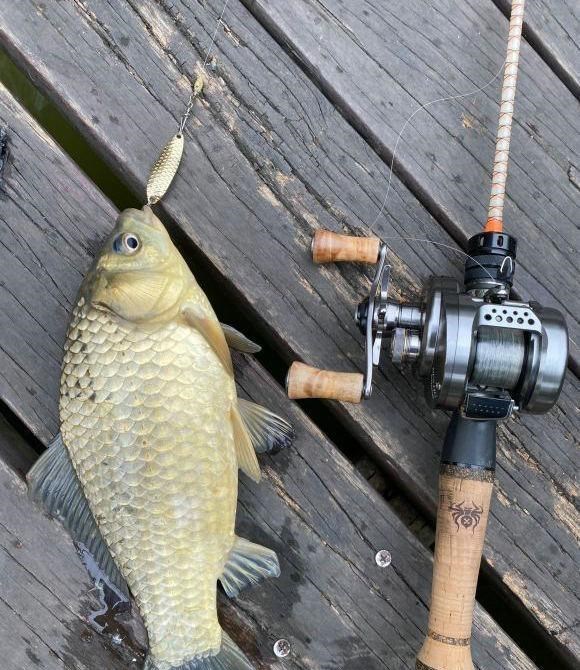 北海|不用鱼钩不用鱼竿也能钓上鱼？广西北海现“新奇钓法”，路人围观