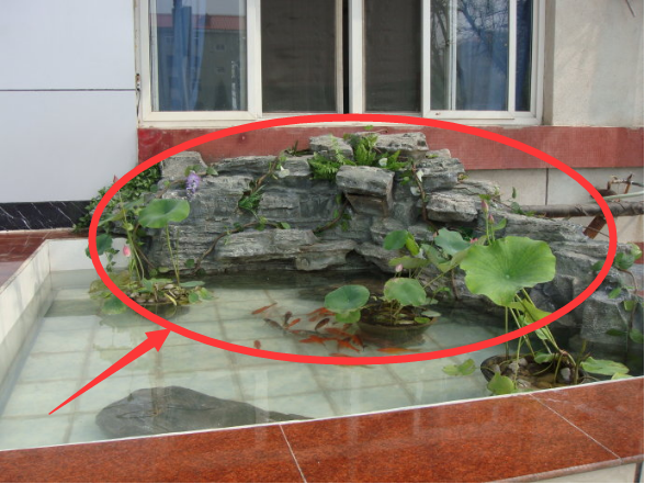 装修设计大全|老公不顾反对，坚持要在阳台建个鱼塘，虽然很丑但却超实用！